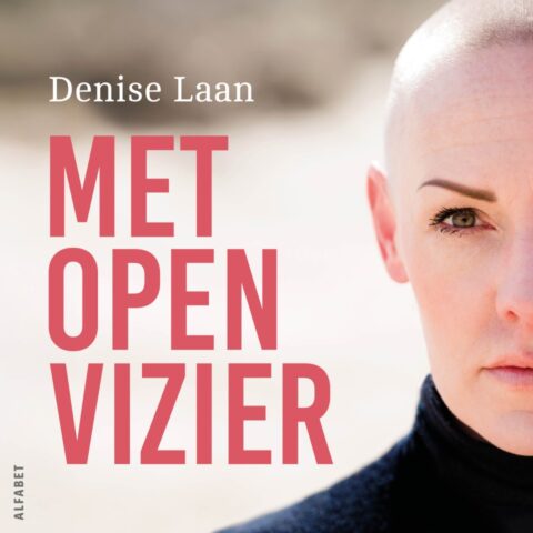 Met open vizier